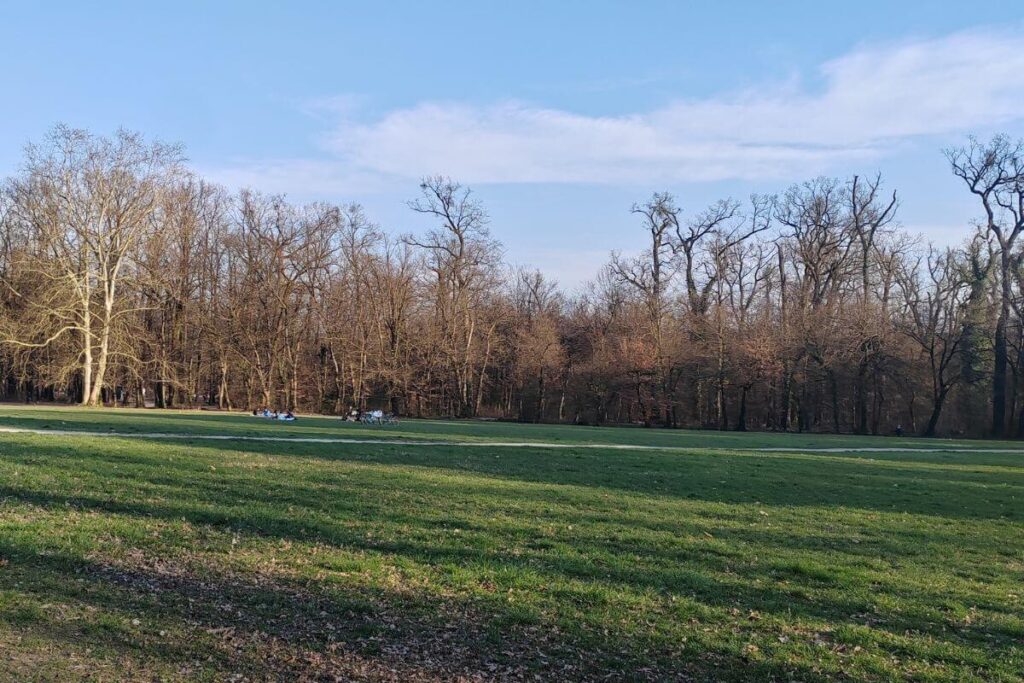 Wide open green field and meadows in Maksimir Park, Zagreb, with tall trees and a blue sky in the background.