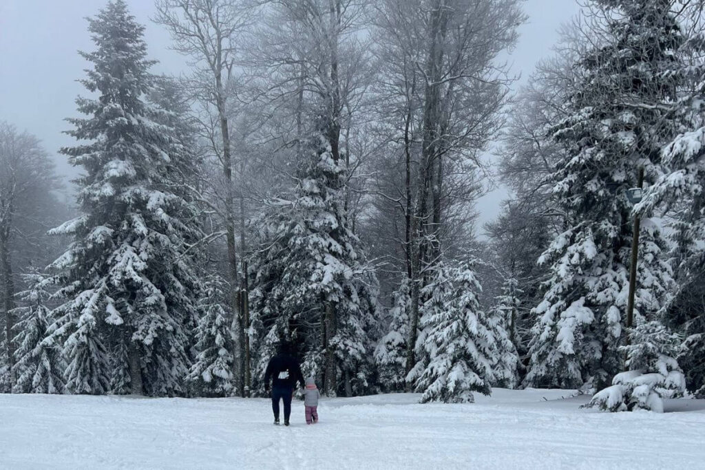A man and a small child in winter gear walking through a deep, snow-covered meadow toward a dense forest of frost-covered evergreen trees on Mount Sljeme.