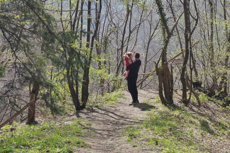 A man standing on a forest path lifting a small child high in the air to look at the surrounding tall, slender trees.
