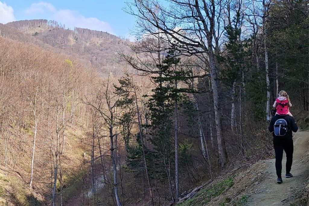 A man with a backpack hiking a narrow mountain trail on Sljeme with a small child sitting on his shoulders, overlooking a steep forested valley.