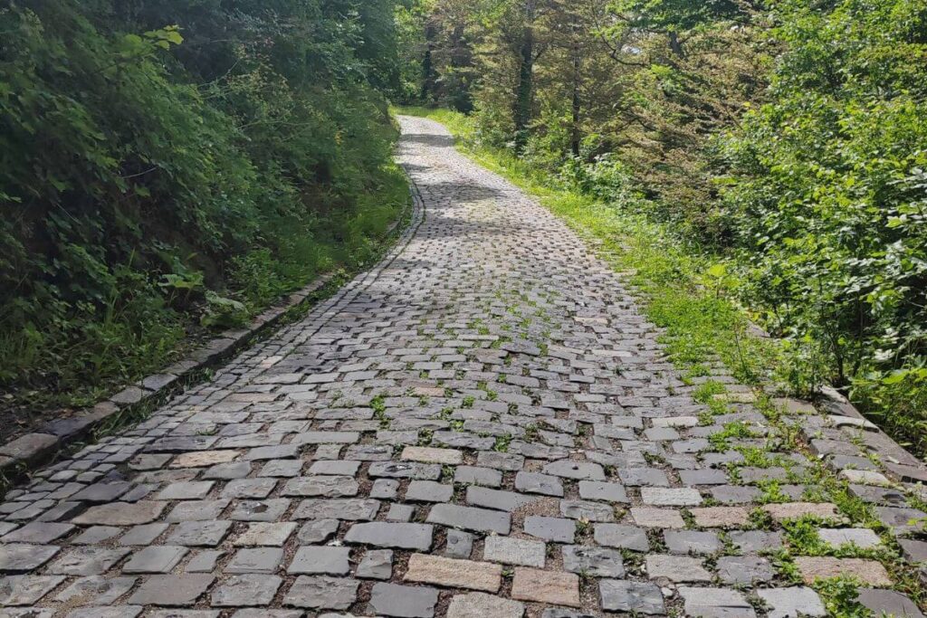 A winding, uneven stone-paved path cutting through thick green trees and forest up toward Medvedgrad fortress.