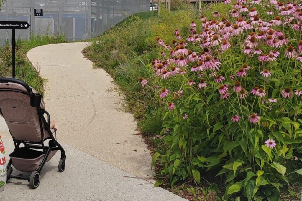 A smooth, paved stroller-accessible pathway lined with pink flowers leading to the Terme Tuhelj entrance.