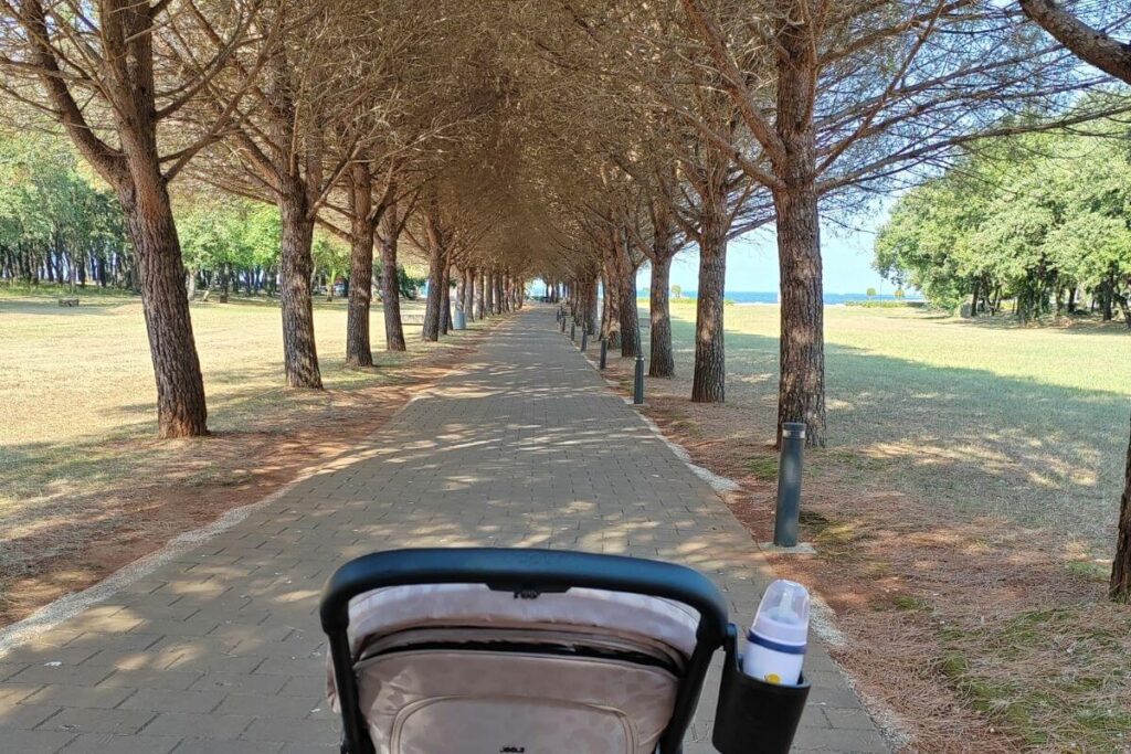 Point-of-view view pushing a baby stroller down a paved walking path lined with pine trees leading toward the sea.