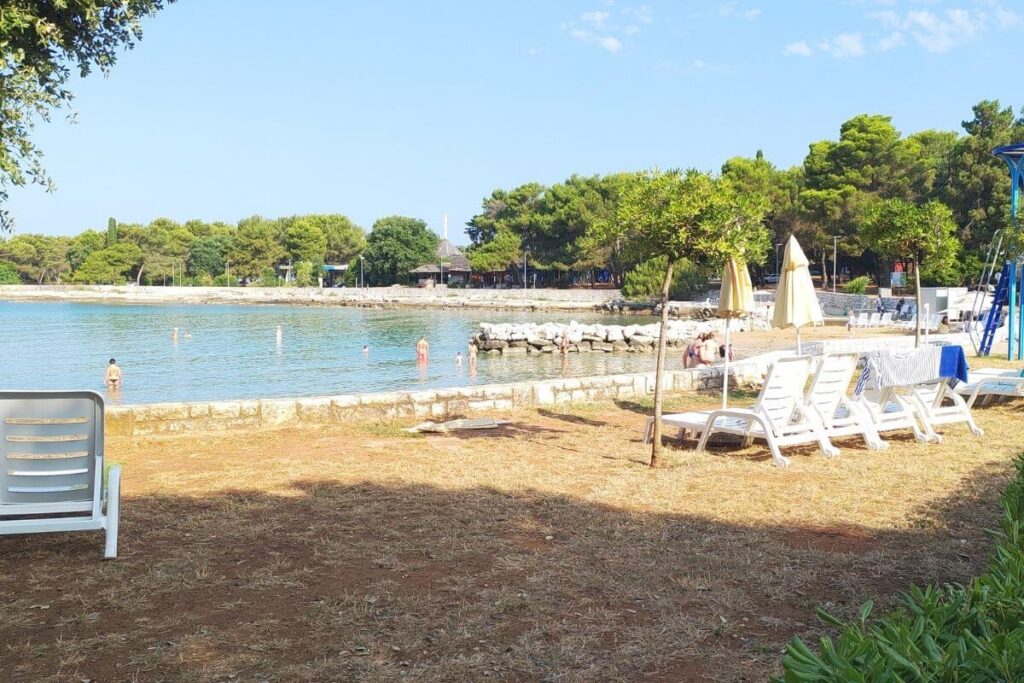 Sun loungers and parasols setup under natural shade on a grassy slope next to a calm sea cove.