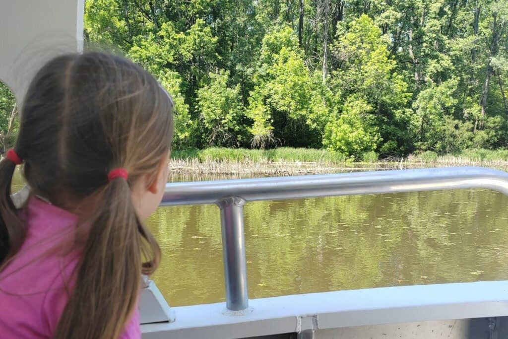 Young girl looking out at the river and forest from the deck railing of a solar powered boat in Lonjsko Polje